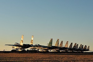 DSC_3296.jpg