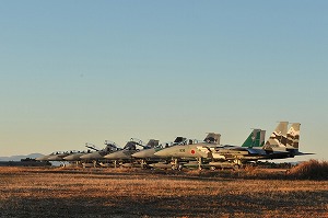 DSC_3299.jpg