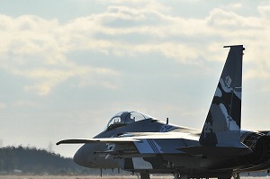 DSC_3337.jpg